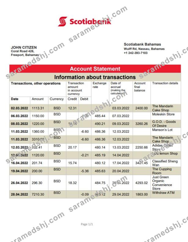 Bahamas Scotiabank bank statement